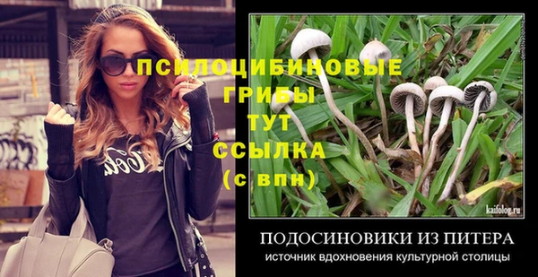 соль ск Семёнов
